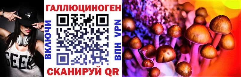 Галлюциногенные грибы GOLDEN TEACHER  где продают   мега   Петровск-Забайкальский 